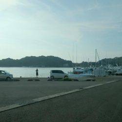 朝まずめ狙いでアオリイカ