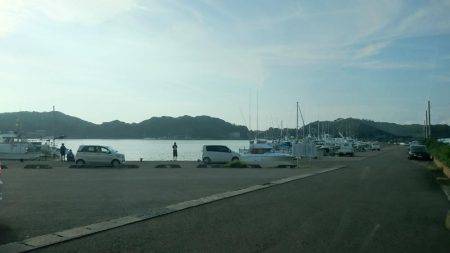 朝まずめ狙いでアオリイカ