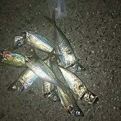 ちょこっと調査