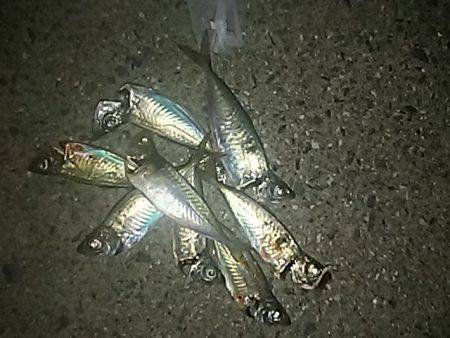 ちょこっと調査