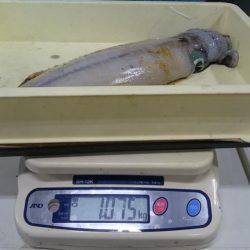 久しぶりキロアップ