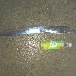 アオリイカ狙いがタチウオに