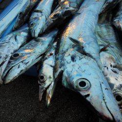 2週振りのリベンジ