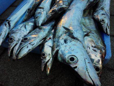 2週振りのリベンジ