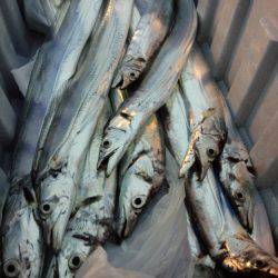 少しサイズダウン？