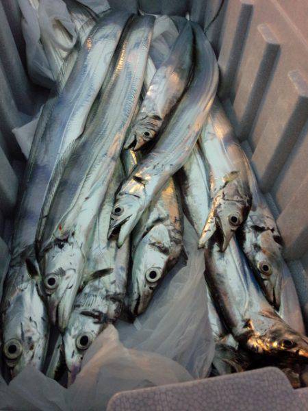 少しサイズダウン？