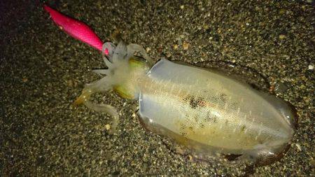 肌寒いサーフへ