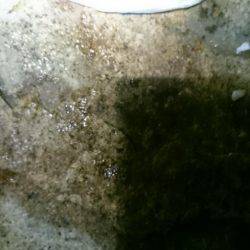 大潮に釣れない。