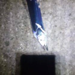 やっぱオモロイ。