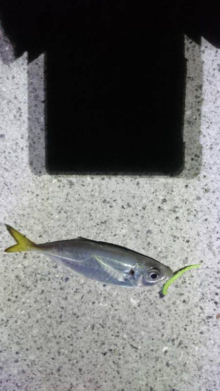 ネバリとガンバリ