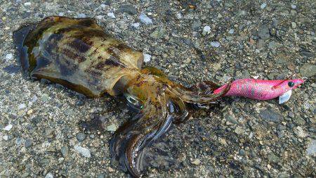 爆風もあって渋い！