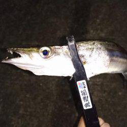 今どきカマシング