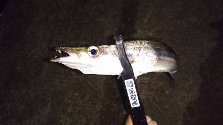 今どきカマシング