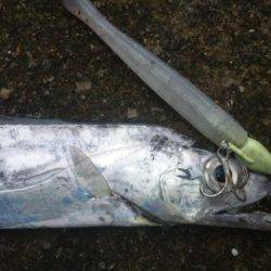 タチウオ釣り