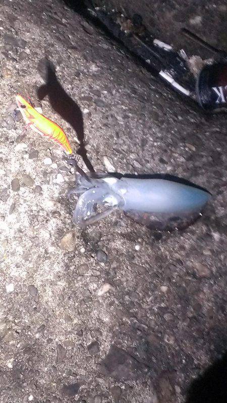 ２杯釣れました。