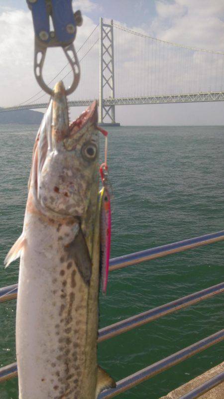 ピクニック気分