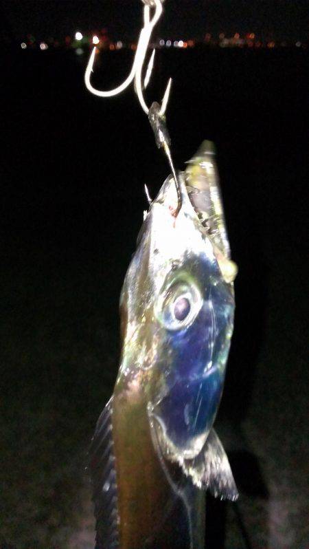 なんとか今季一本目