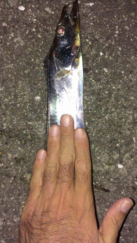 一本だけですが