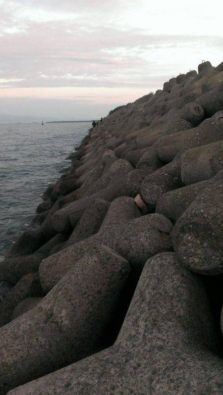 早朝の太刀魚釣り