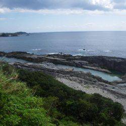 色鮮やかな南国外道達