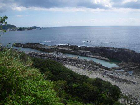 色鮮やかな南国外道達