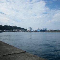 カワハギ出現せず。