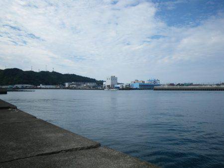 カワハギ出現せず。