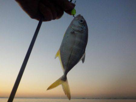 条件は良いのに・・・・・