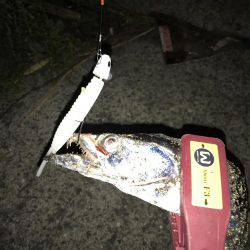 FLAPヘッド握りしめて！