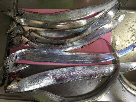 指4本半含む計8本