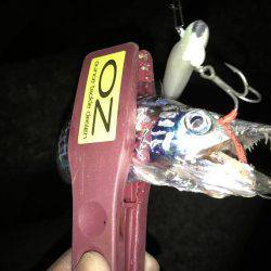 4釣行連続して、1匹！