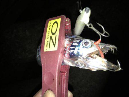 4釣行連続して、1匹！