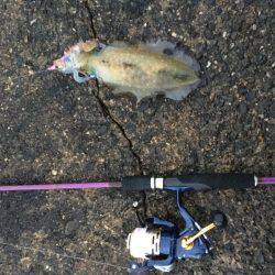 1年振りの丹後半島