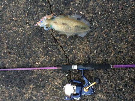 1年振りの丹後半島