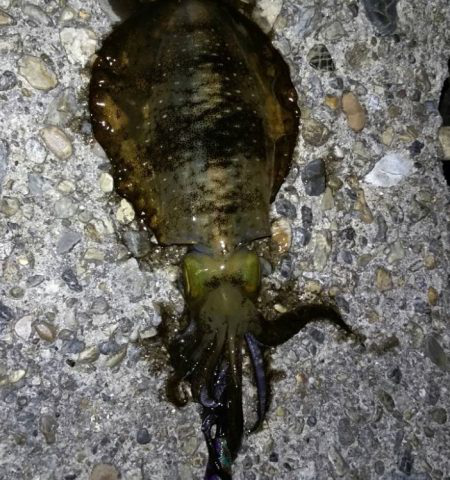 我慢できなくて、、