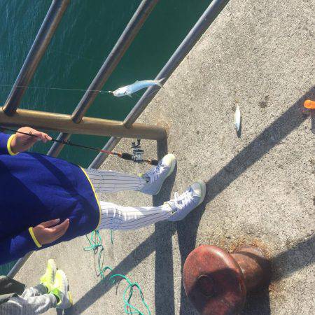 家族フィッシング！