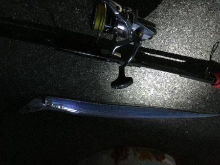 ぼっちタチウオング