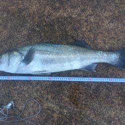 岩屋～おのころ裏