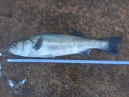 岩屋～おのころ裏