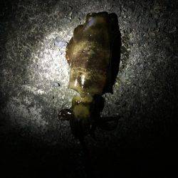 久しぶりの遠征