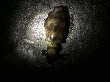 久しぶりの遠征