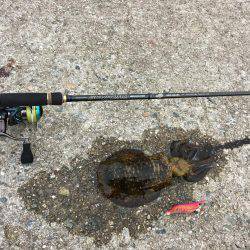 アオリに煽られて