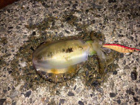 3カ月ぶりの釣り