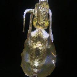 どこでも釣れる。