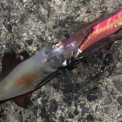 タチウオ釣りの隣にて