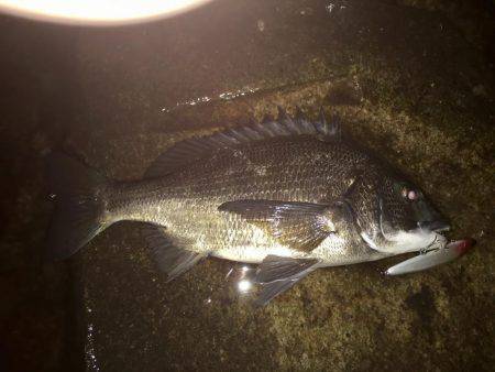 秋本番のナイトゲーム