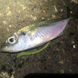 意外とシブかった(･･;)