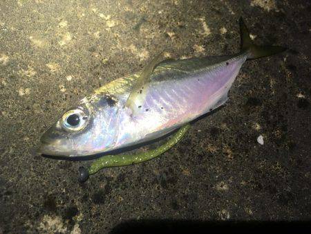 意外とシブかった(･･;)