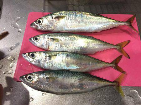 デカサバゲット！