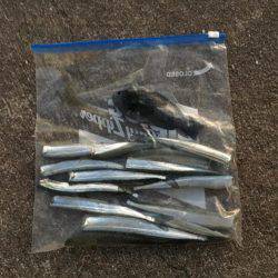 サヨリが入れ食い